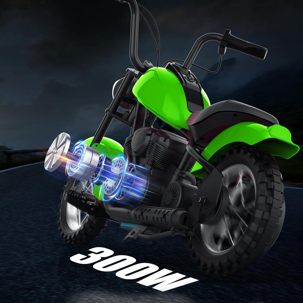 24V Electric Dirt Bike, 300W Chain-Driven Motor, Up to 15 MPH, 2-Speed, 10-Mile Range, 12" Air-Filled Rubber Tires, Leather Seat, Hand Brake, LED Lights, 150 Lbs
