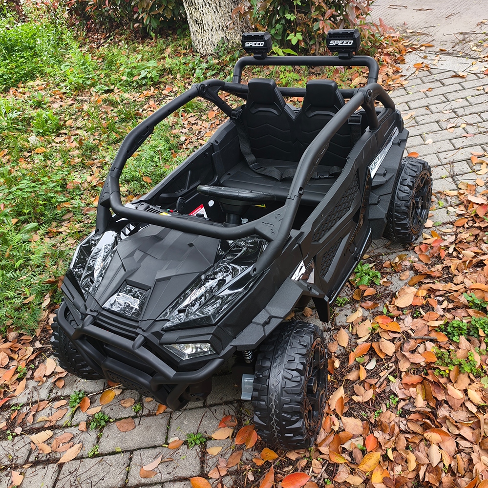 Sunnyfree 24 Volt Ride on Toys for Kids, 4WD 2 Seater Electric UTV Ride on Car with 800W Powerful Motors, Remote Control, Power Car Wheels, Four-Wheel Suspension, Bluetooth Music, LED Lights, Black