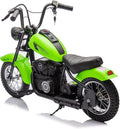 24V Electric Dirt Bike, 250W Motorized Motorcycle with LED Light, Leather Seat, 2 Speeds up to 14 MPH, Up to 60 Minutes Runtime,Green