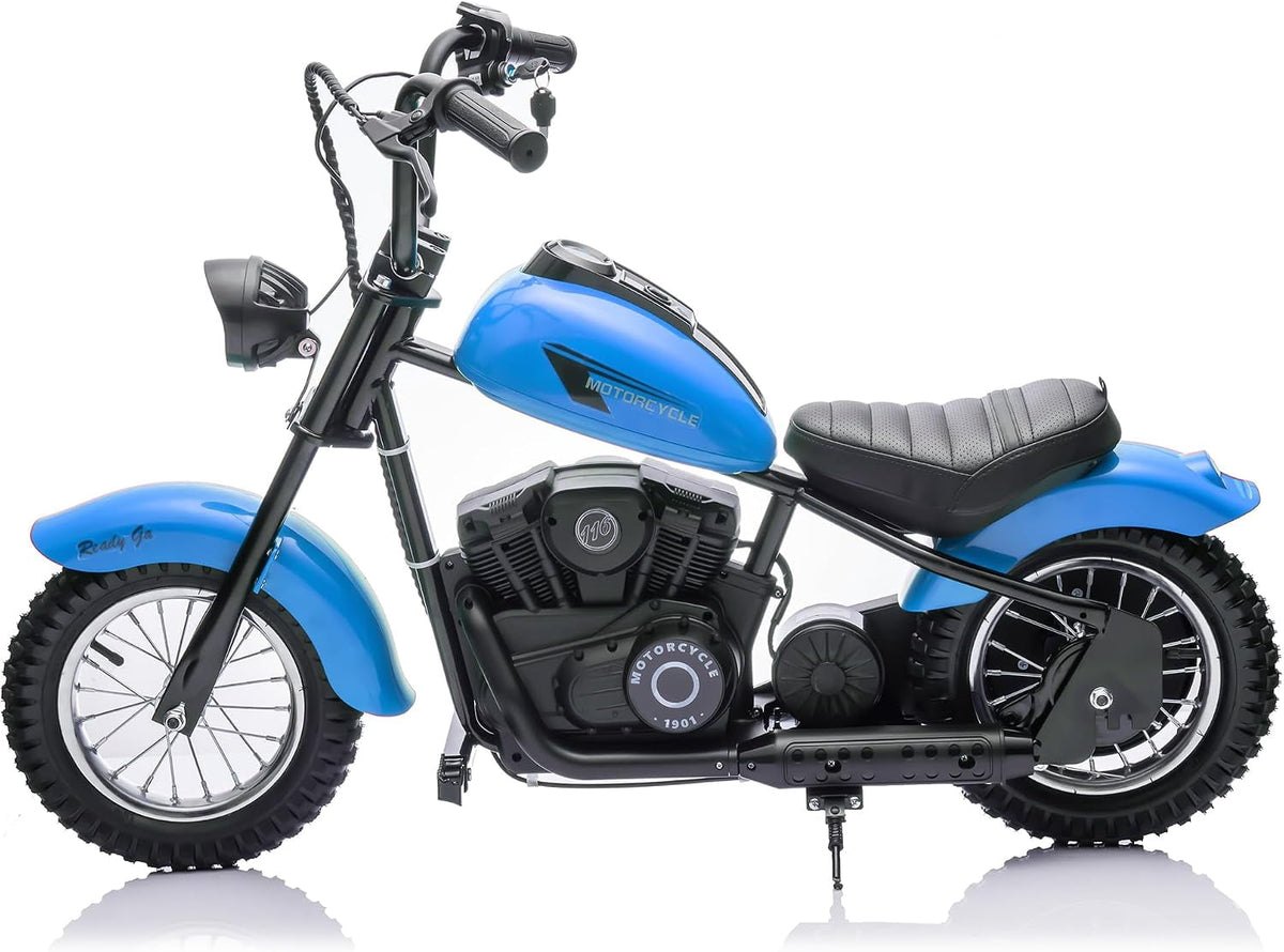 24V Kids Electric Dirt Bike, 300W Motor, 14 MPH, Dual Speed Modes, LED Lights, 60 Min Playtime, Off-Road Motorcycle for Backyard & Trails, Up to 140 lbs,Blue