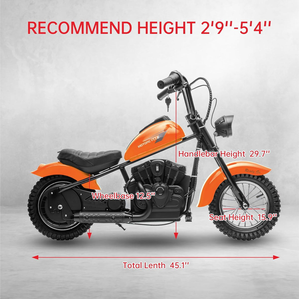 24V Electric Dirt Bike, 300W Chain-Driven Motor, Up to 15 MPH, 2-Speed, 10-Mile Range, 12" Air-Filled Rubber Tires, Leather Seat, Hand Brake, LED Lights, 150 Lbs
