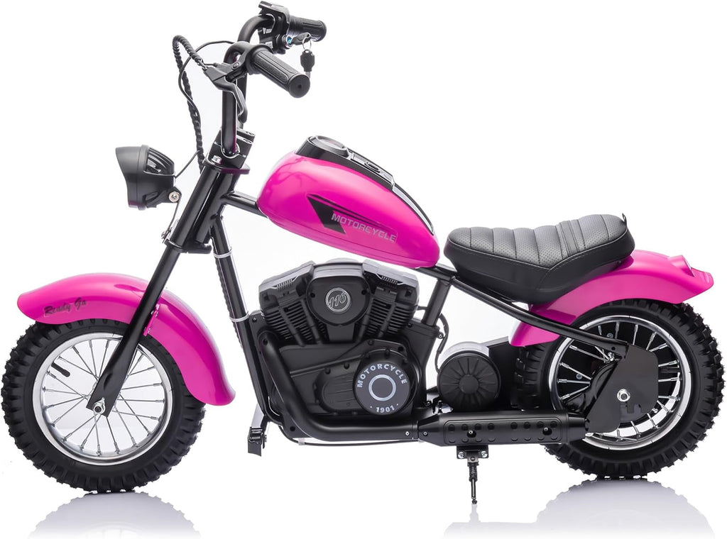 24V Electric Dirt Bike, 300W Chain-Driven Motor, Up to 15 MPH, 2-Speed, 10-Mile Range, 12" Air-Filled Rubber Tires, Leather Seat, Hand Brake, LED Lights, 150 Lbs