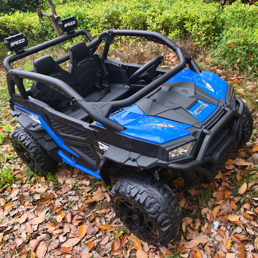 Sunnyfree 24 Volt Ride on Toys for Kids, 4WD 2 Seater Electric UTV Ride on Car with 800W Powerful Motors, Remote Control, Power Car Wheels, Four-Wheel Suspension, Bluetooth Music, LED Lights, Black