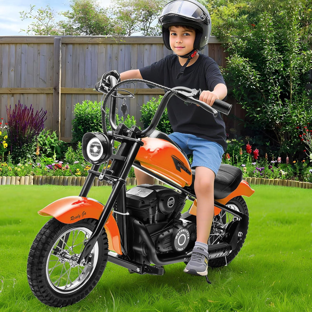24V Electric Dirt Bike, 300W Chain-Driven Motor, Up to 15 MPH, 2-Speed, 10-Mile Range, 12" Air-Filled Rubber Tires, Leather Seat, Hand Brake, LED Lights, 150 Lbs