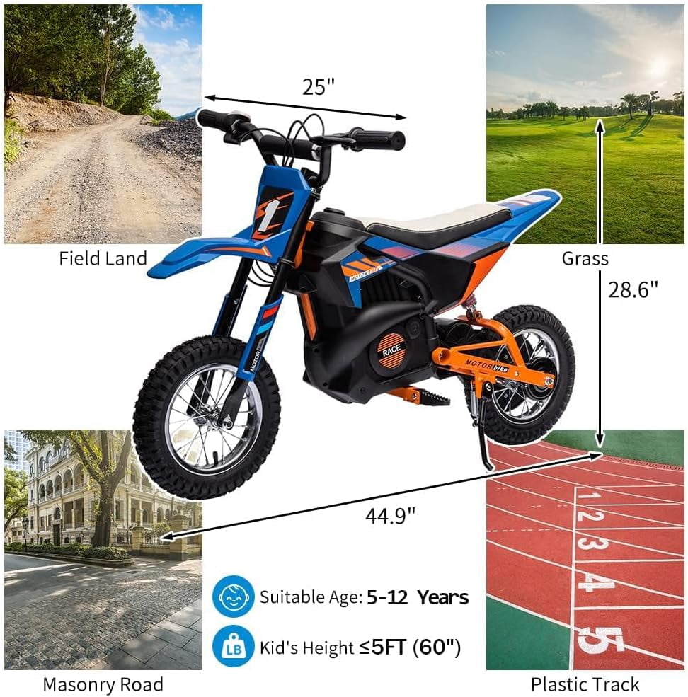 24V Electric Dirt Bike, 250W Brushed Motor, 13.6 MPH Max Speed, Chain Drive System, Disc Brake, Metal Spring Suspension, 12.6 Inch Pneumatic Tires, Leather Seat, 138 LBS Max Load,Blue